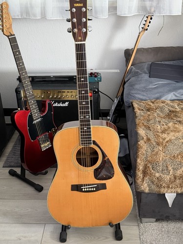 Yamaha akustikgitarre 351 - fg,