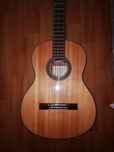 Gitarre akustikgitarre ibanez - akustikgitarre,