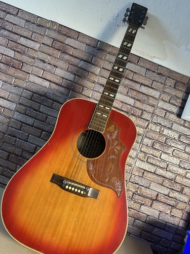 Akustikgitarre life sunburst - akustikgitarre,