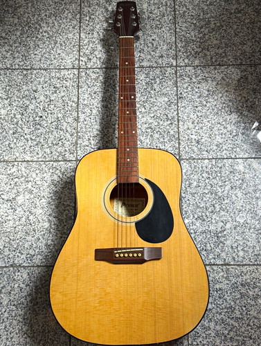 Prince 750 akustikgitarre - prince,
