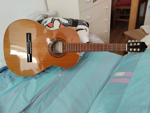 Akustik gitarre guisama modell - gitarre,