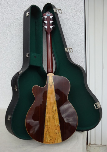 Elektro akustik gitarre - elektro,