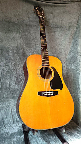 Ibanez 300 westerngitarre - v-300,