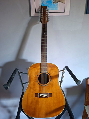 Washburn 12s 12 saitige - washburn, d-20-12s