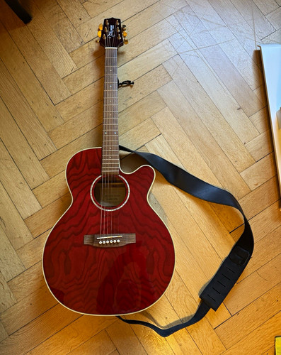 Takamine series eg440c stra - takamine,