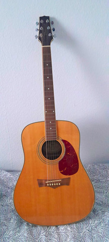 Briarwood acoustics 2fr - acoustics, dr-2fr