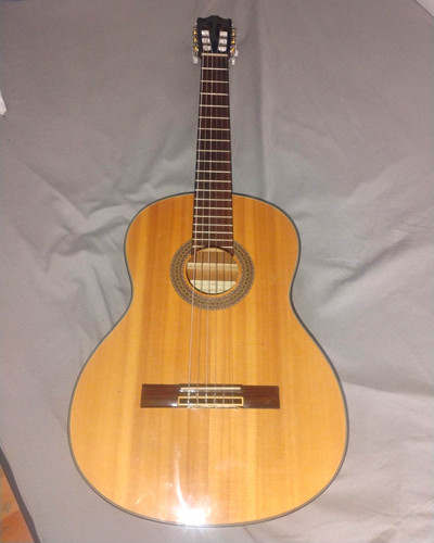 Salvador ibanez akustikgitarre - ibanez,