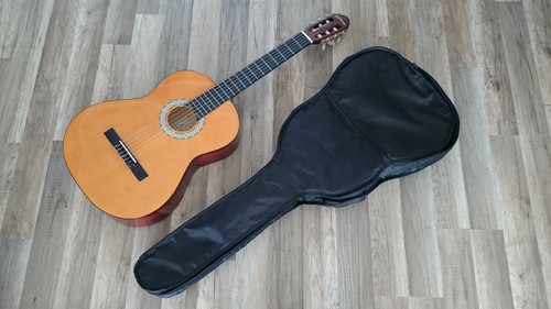 Akustik gitarre giant - c.giant, (